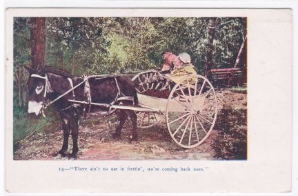 Donkey Cart Old Post Card