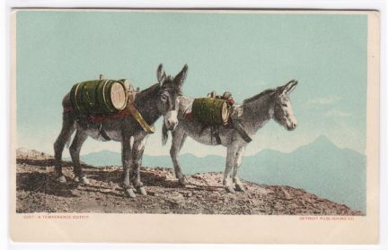 Old Post Card Donkeys Packing Barrels