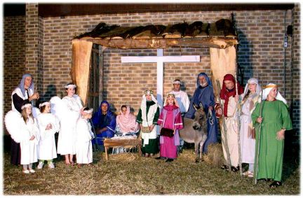 Marion's Daddy's Darlin' Donkeys Nativity Scene