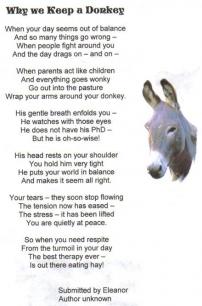 Donkey Poem