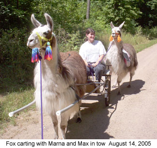 foxmaxmarna2 2005-08-14.jpg